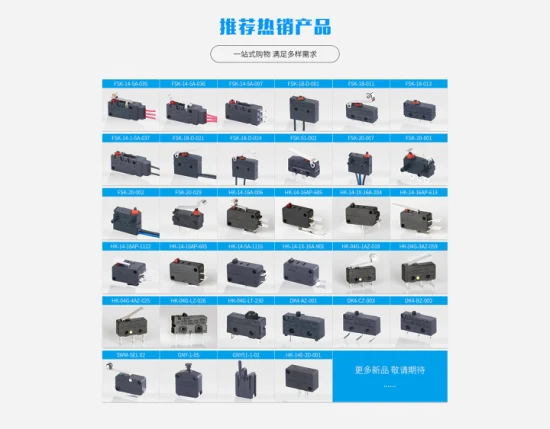 HK-11 3X4X2 Двухфутовый тактовый переключатель Tongda Weipeng Mini Limit для бытовой техники с ENEC TUV UL